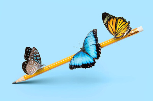 Alvaro Dominguez.jpg